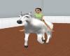 NS Rideable White Mare