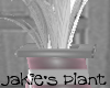 *LMB* Jakies Plant