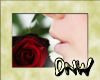 DNW Love Icon