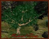 animated green tree