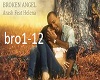 broken angel