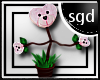!SGD Dancing Bear Plant2
