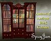 Anim Antq Book Cabinet