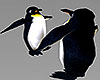 Winter Penguins Animated