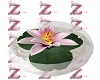 {Z} Lotus in Bowl - pink
