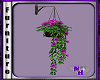 (1NA) Hanging Flower