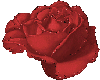 M Red Sparkle Rose