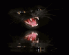 Sticker Black Cat