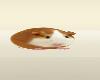 Cute Tiny Hamsters Pets Halloween Costumes Animals Funny Voices 