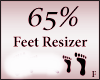 Perfect Feet Resizer 65%