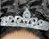 ~Diamond Crown