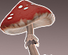 Head mushroom