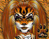 ~Oo Wild Tiger Ally