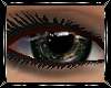 [P&P] Raidar -eyes F