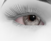 white eyes