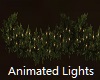 Garland Animated Lights