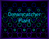 DreamCatcher Plant