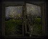 Animated Window Raining