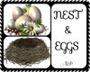 Bird nest and Eggs