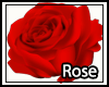 Light Red Rose