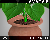 lmL Terracotta Planter