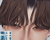 Ⓩ Bang w Hat Brown