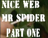 nice web mr spider dub1