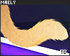 м| Foxy .Tail