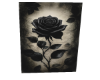 BLACK ROSE