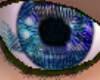 Female Tec Eye blue