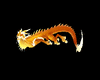Golden dragon pet