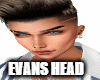 Evans Head