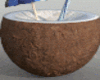 Coconut Pose Avatar F