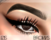 I│Lauryn Brows Brown
