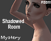 Mystery! Shadowed Room