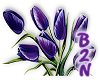 B2N-Purple Tulips