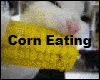 Corn Eating Cat Animated