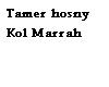 Arabic song-Tamer Hosny