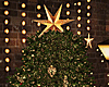 🎄 Drv Christmas Tree