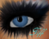 (TD)Blue Grey Eyes!!