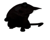 D.G. Spooky Cat