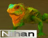 N]Z African Iguana Anim.