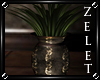 |LZ|Royal Fern Plant