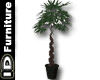 (ID) Plant 1 [Black]