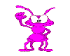 Pink Ant