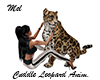 Cuddle African Leopard