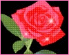 rose Sticker