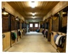 horse stall wall