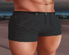 Polo Sport Shorts Denim