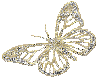 M Sm Diamond Butterfly R